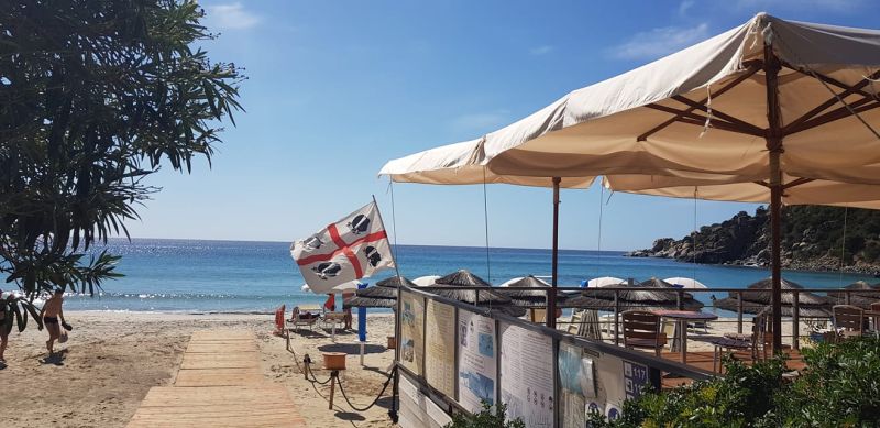 Palm Beach Bar