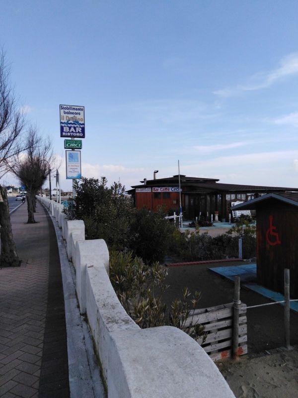Il Delfino