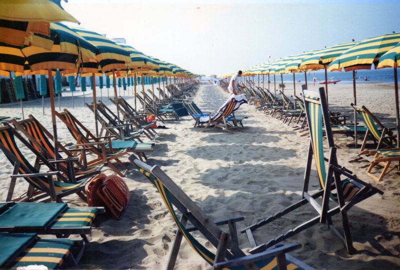 Grillo Moro