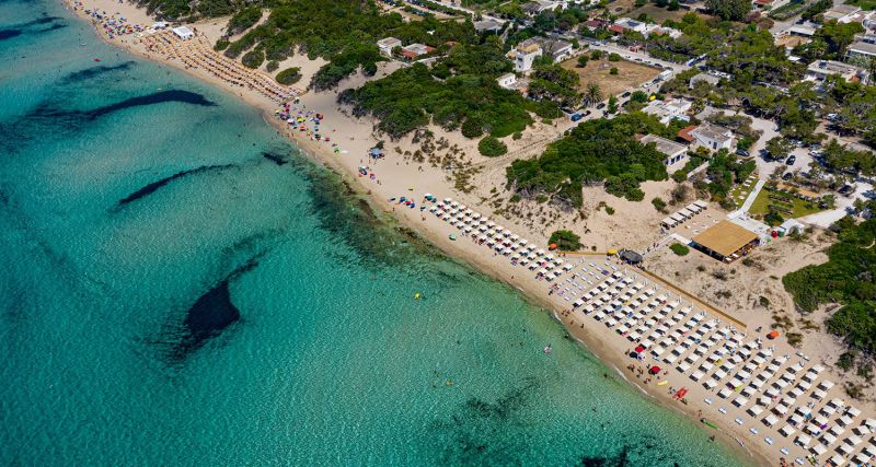 Lido Oasis Beach Cafè