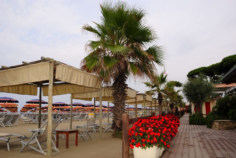 La Cicala