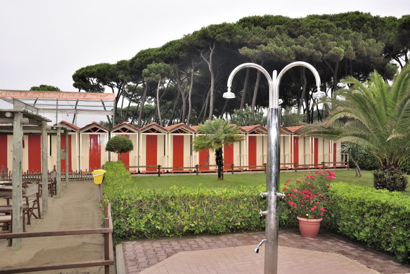 La Cicala