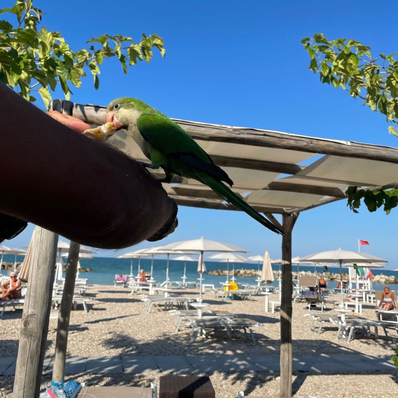 Cala Bianca