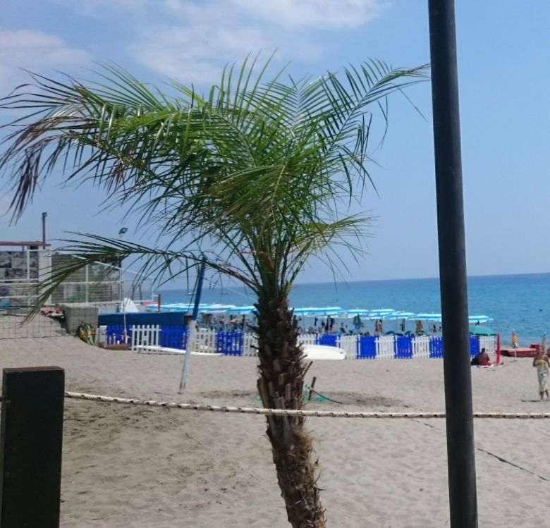 Club Paradise Beach