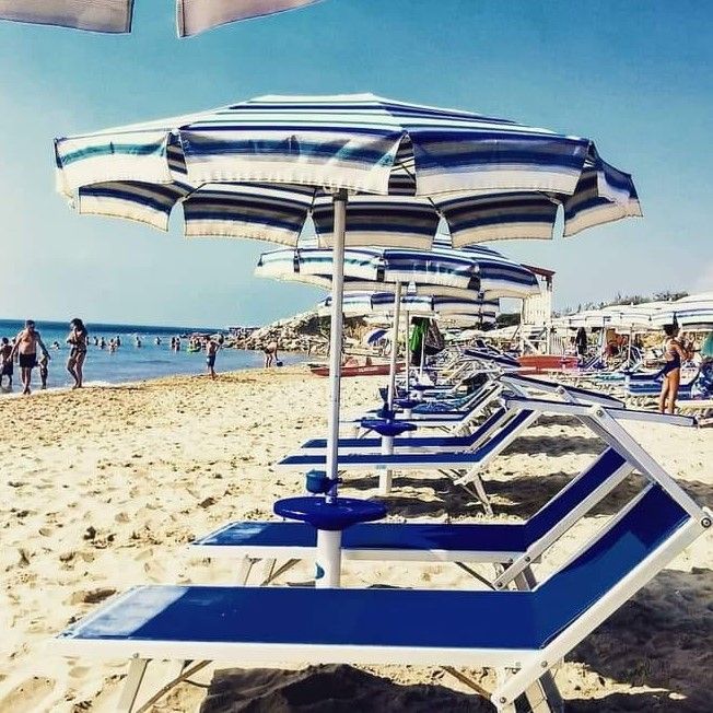 Il Delfino