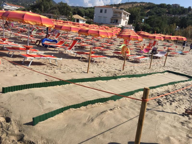 Lido Mascalzone Latino
