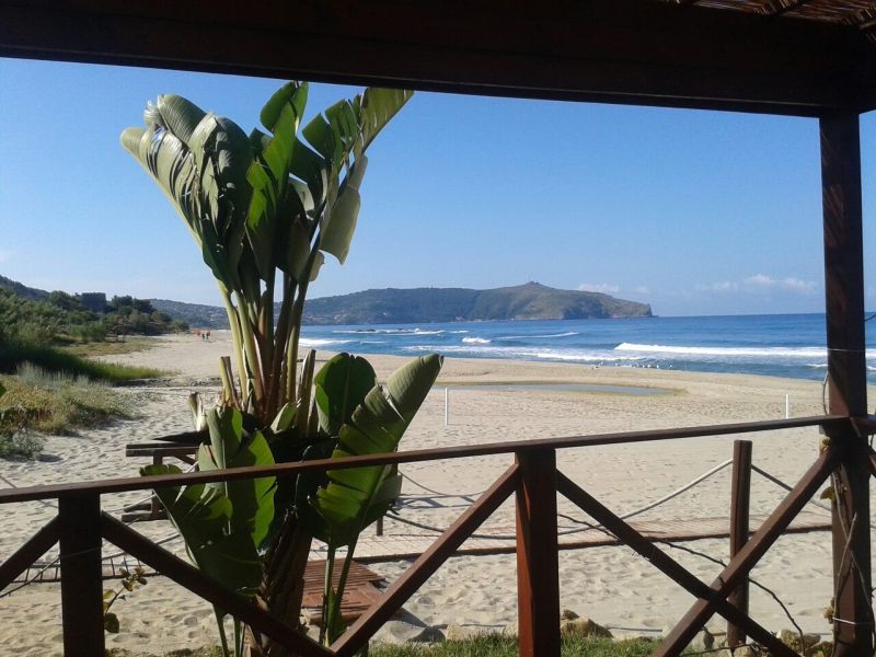 Lido Mascalzone Latino