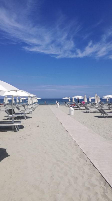 Bagno Adriatico 263