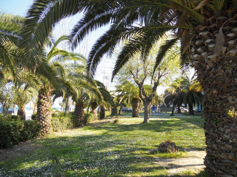 Lido Altamira