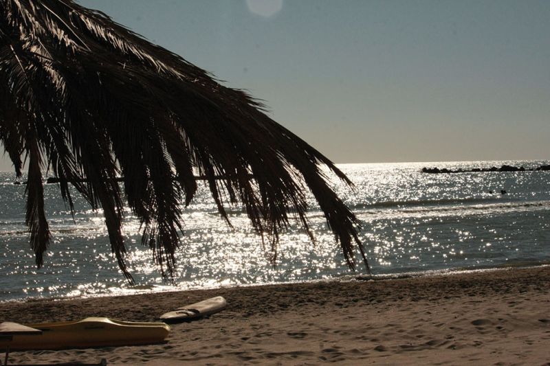 Lido Hercules