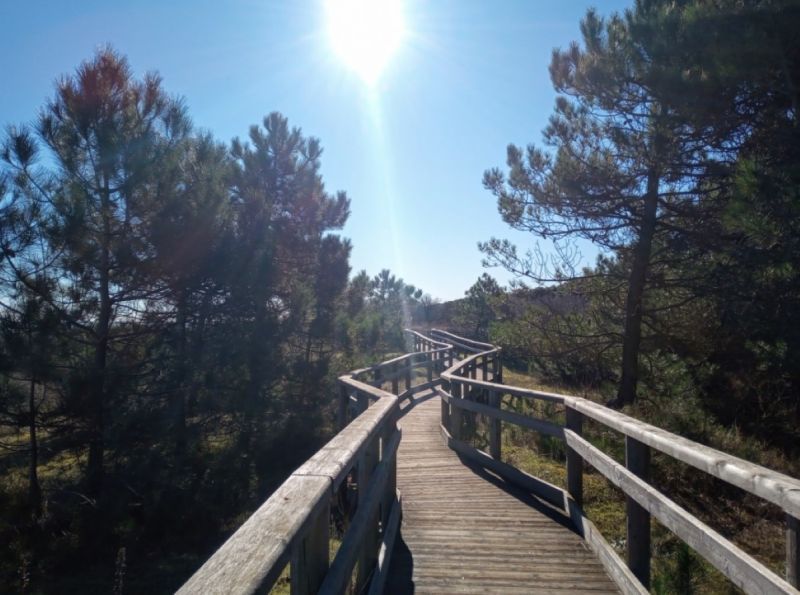 Spiaggia Libera (Ex Colonia)