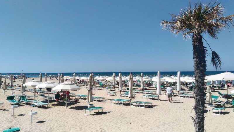 Paradise Beach