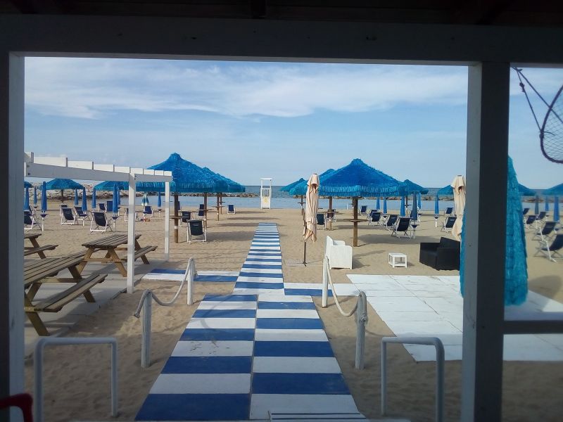 Conchiglia Azzurra