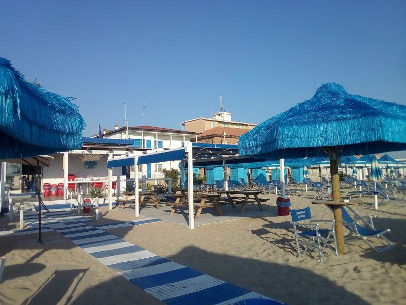 Conchiglia Azzurra