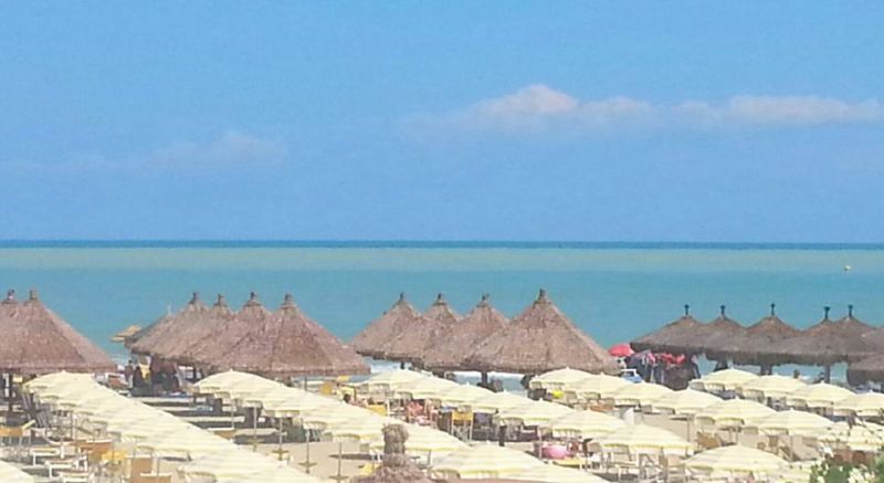 Le Canarie