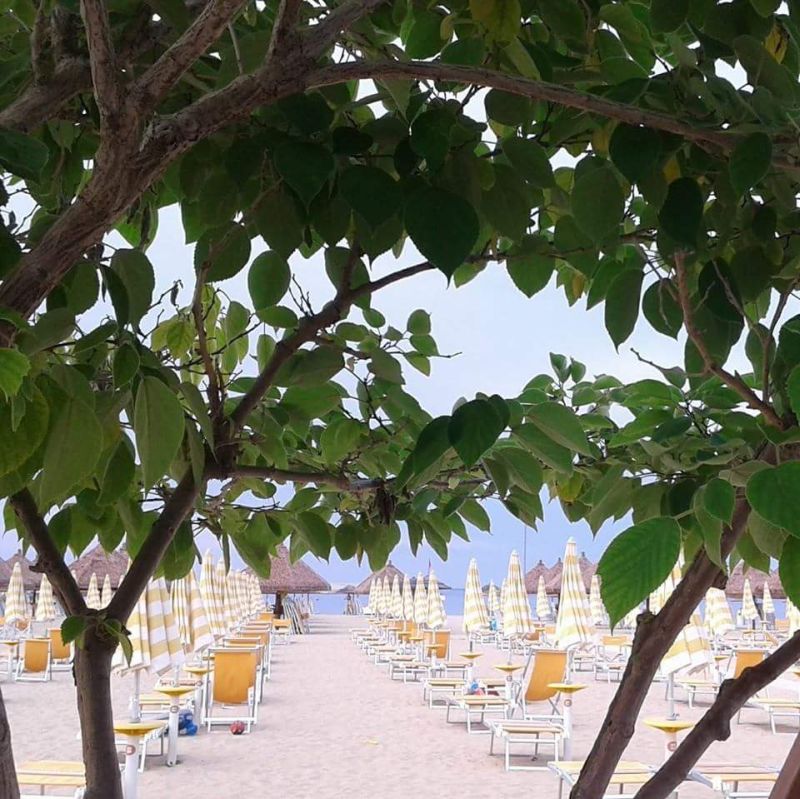 Le Canarie