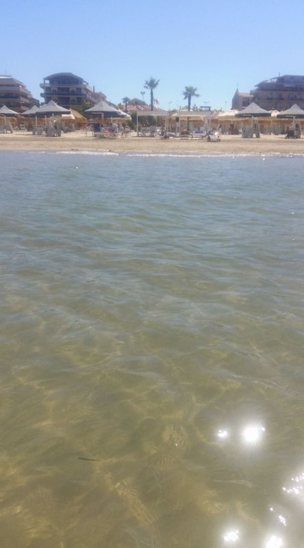 Stabilimento Balneare Tartarughino