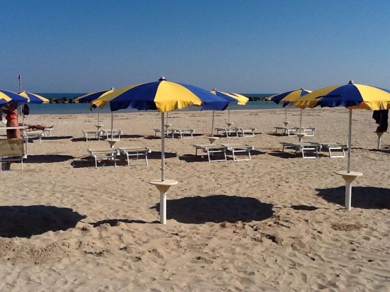 Lido Barracuda