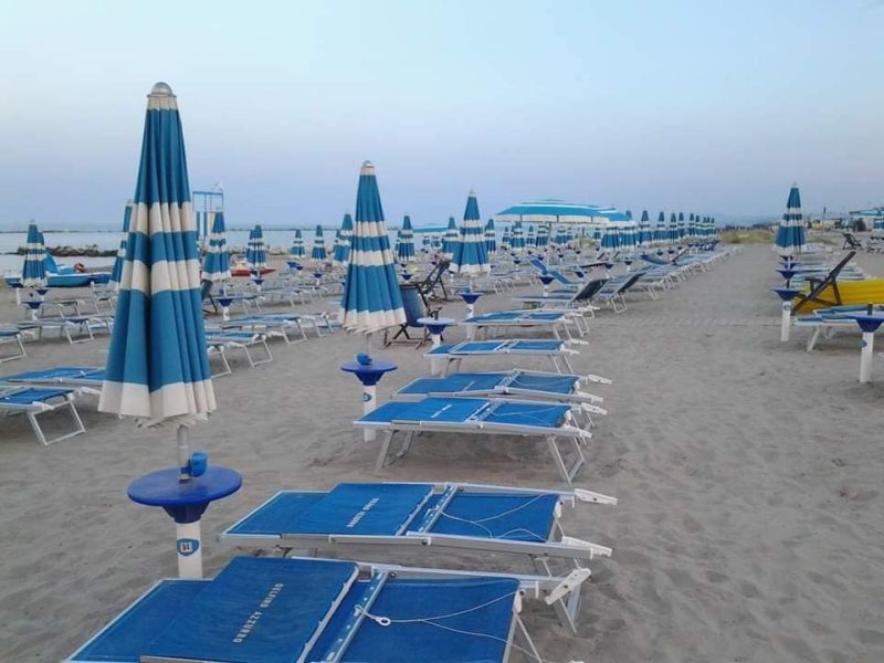 Delfino Azzurro