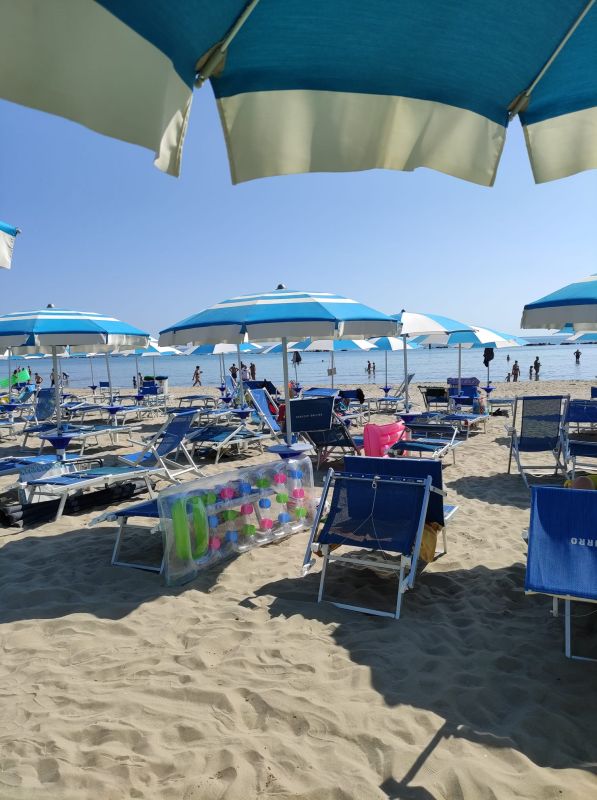 Delfino Azzurro