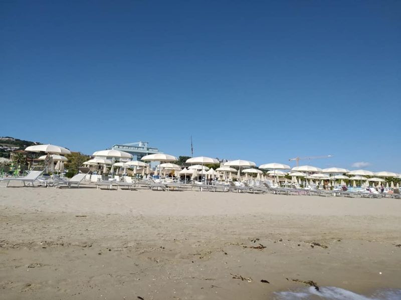 L'Oasi