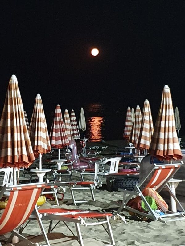 Chalet Viareggio