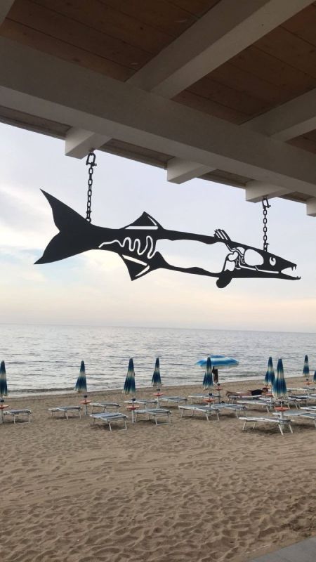 Barracuda Summer Fun Beach