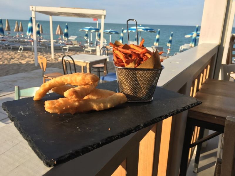 Barracuda Summer Fun Beach