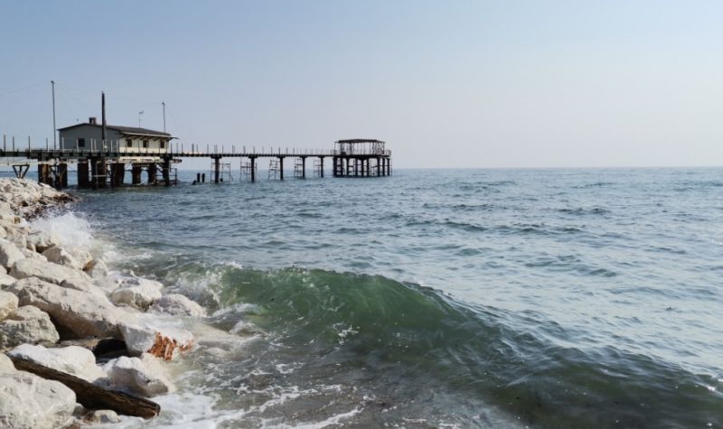 Spiaggia Libera Aperta Ai Cani