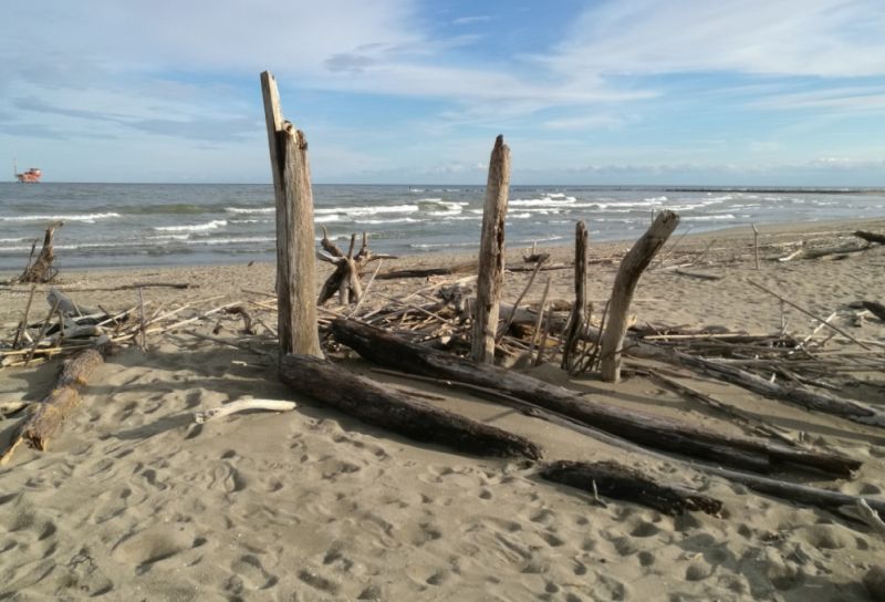 Spiaggia Libera Aperta Ai Cani