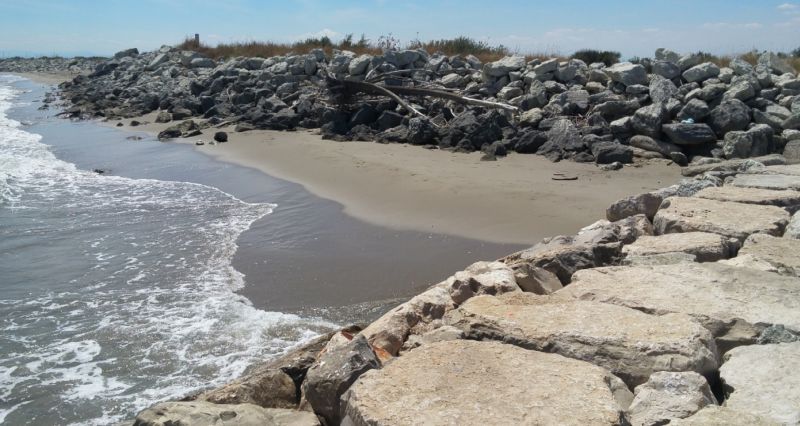 Spiaggia Libera Aperta Ai Cani