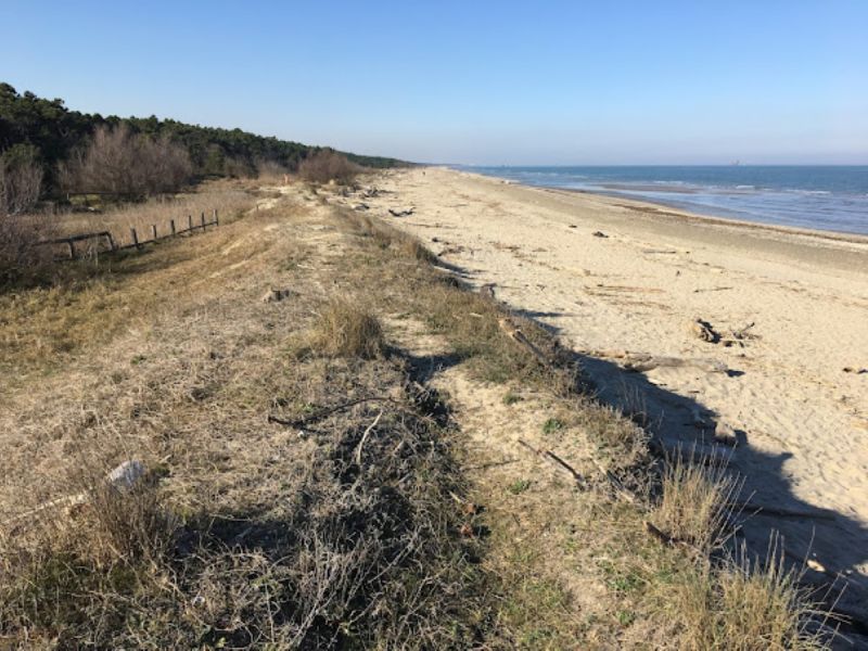 Spiaggia Libera Lido Di Classe