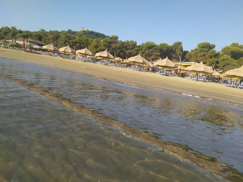 Cerrano Sub
