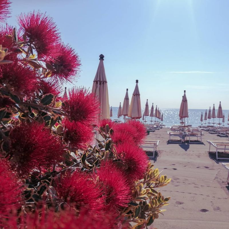 Bagni Albenga