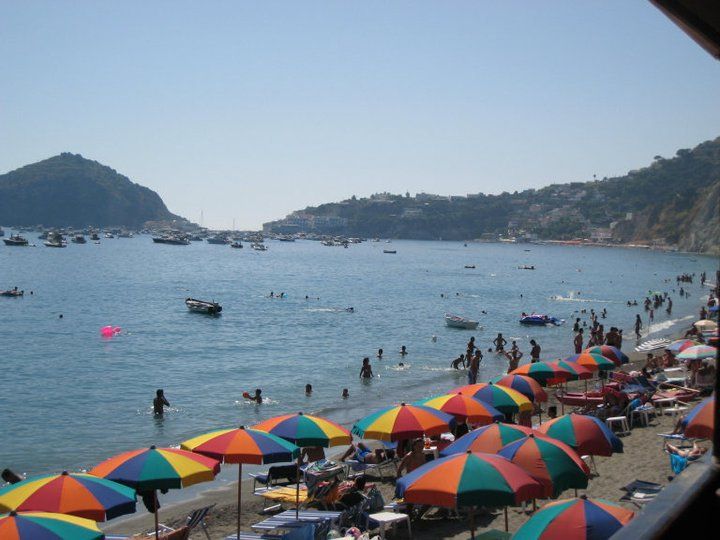Nuovo Tropical