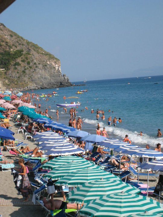 Nuovo Tropical