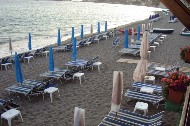 Nuovo Tropical