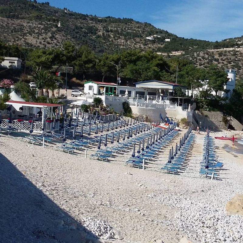 Lido BayWatch