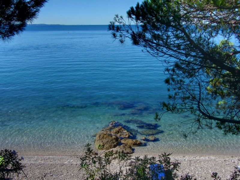 Le Ginestre