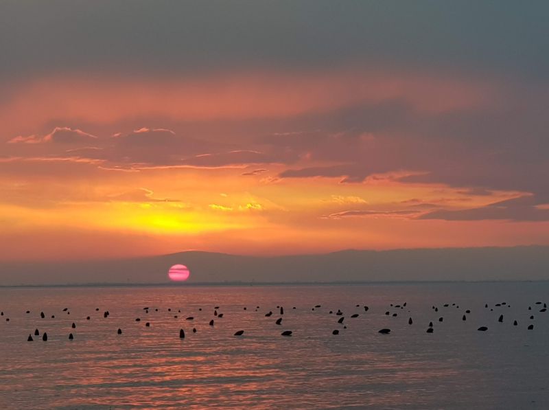 Spiaggia Naturista