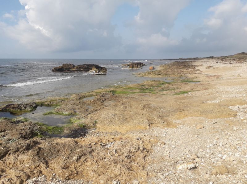Spiaggia Valdaliga