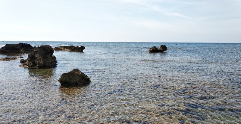 Tsunami Beach