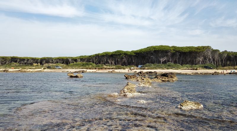 Tsunami Beach