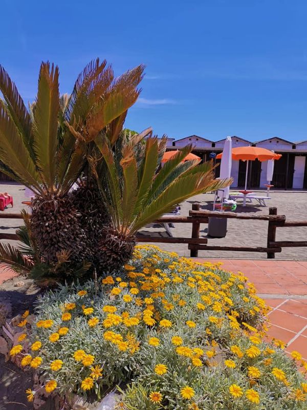 Guerrino Beach