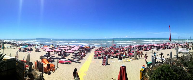 Surf & Music