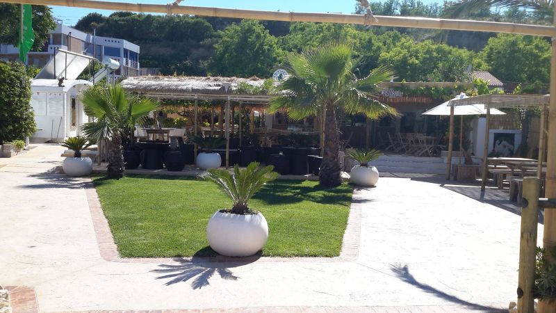 Lido Tricheco Beach