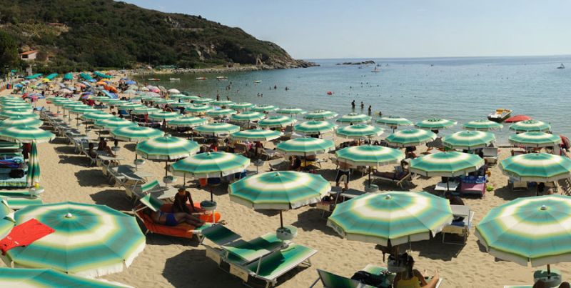 Cavoli 2000