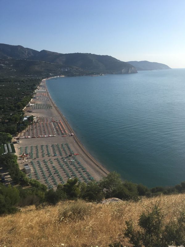 Lido Oasi