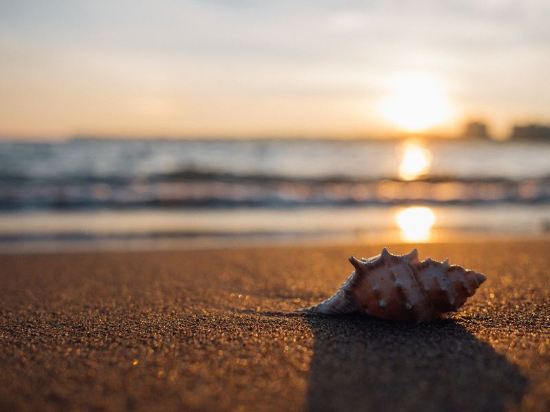 RistoBeach Baraonda