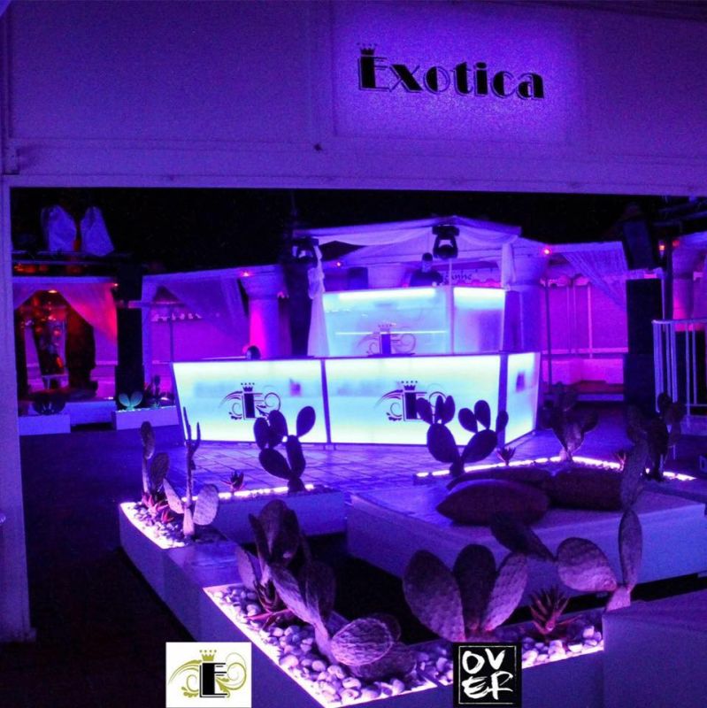 Exotica Fashion Club